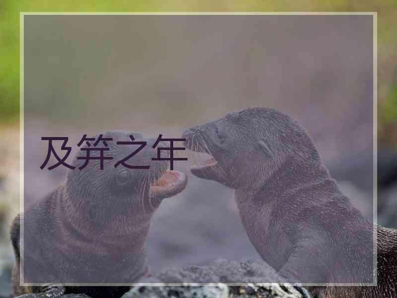 及笄之年