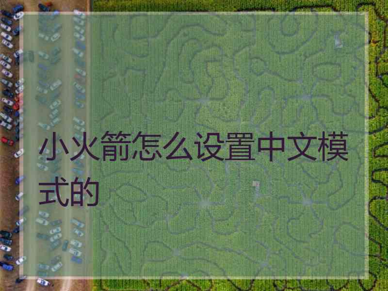 小火箭怎么设置中文模式的