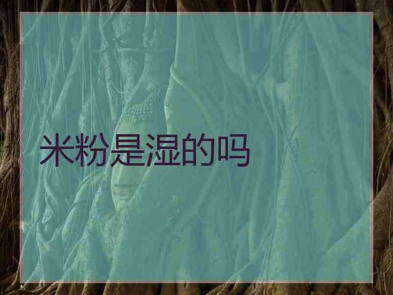米粉是湿的吗