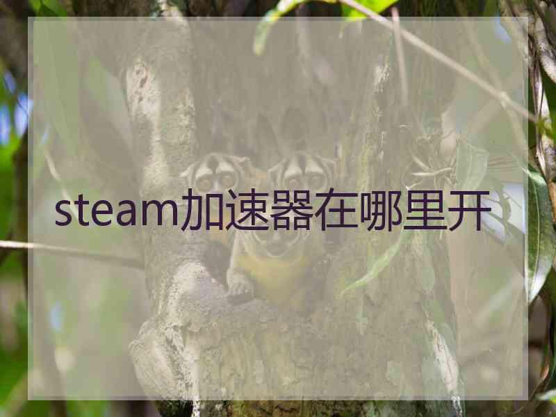 steam加速器在哪里开