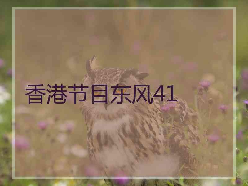 香港节目东风41