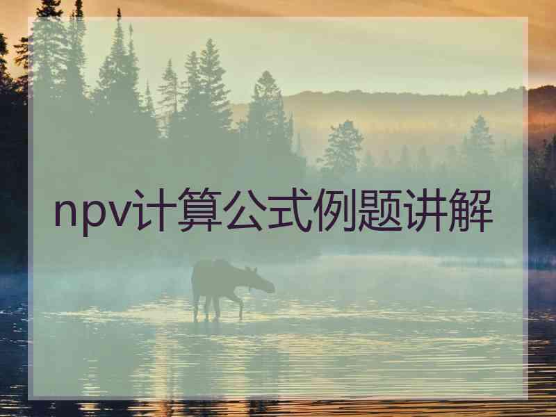 npv计算公式例题讲解