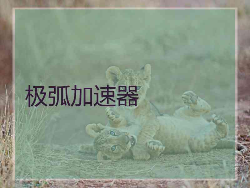 极弧加速器