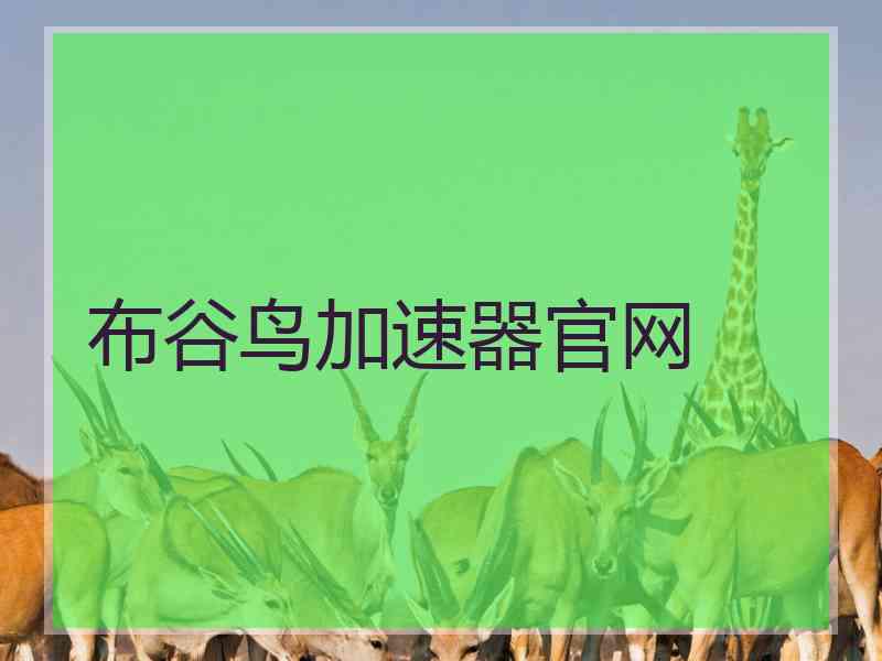 布谷鸟加速器官网
