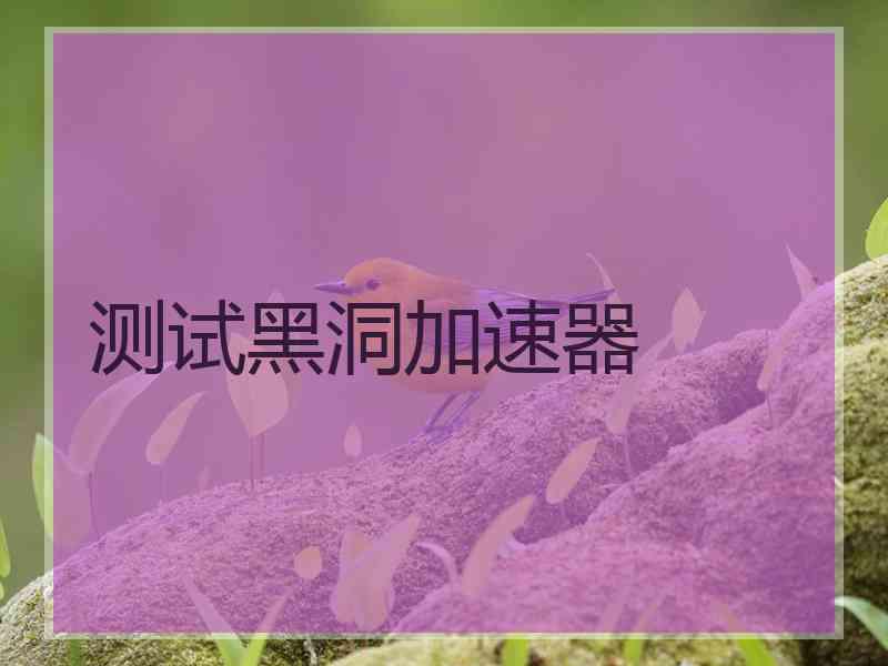 测试黑洞加速器