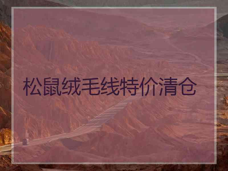 松鼠绒毛线特价清仓