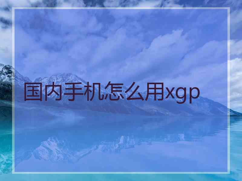 国内手机怎么用xgp