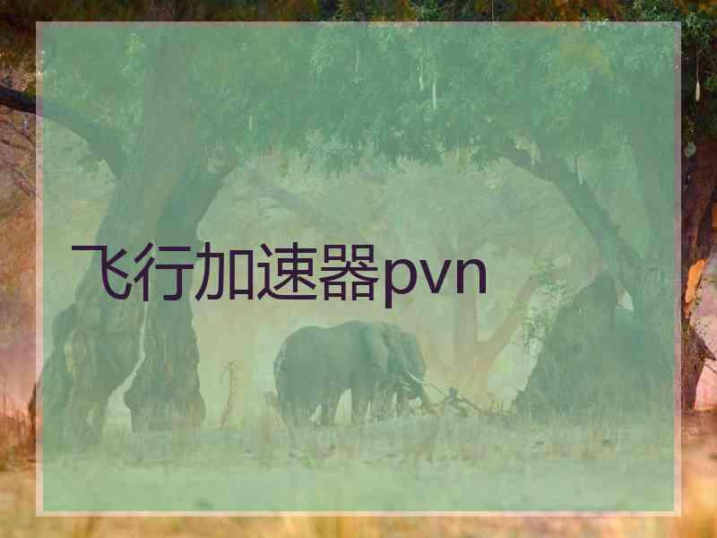 飞行加速器pvn