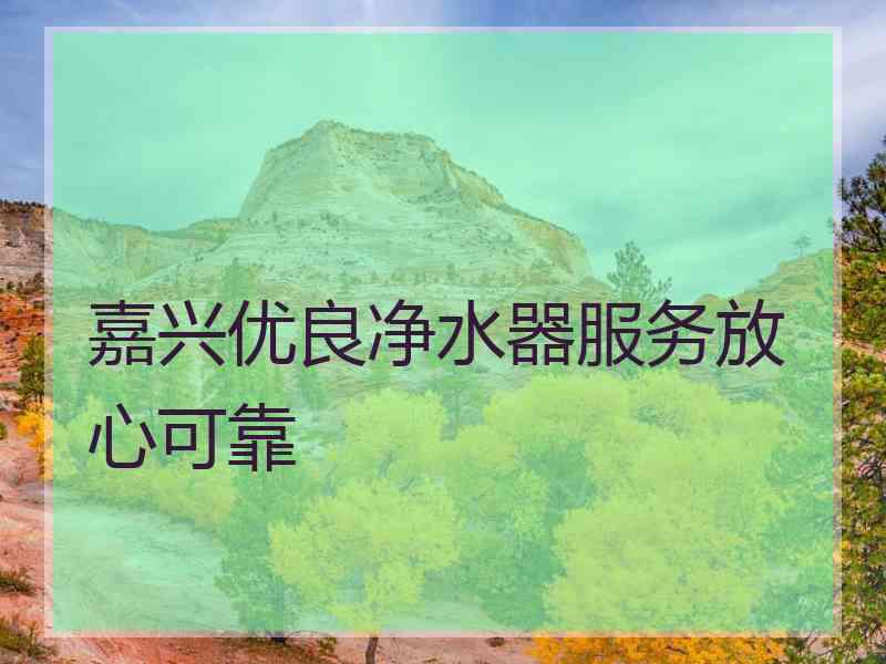 嘉兴优良净水器服务放心可靠