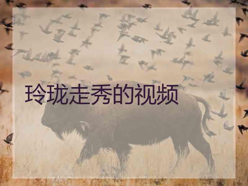 玲珑走秀的视频