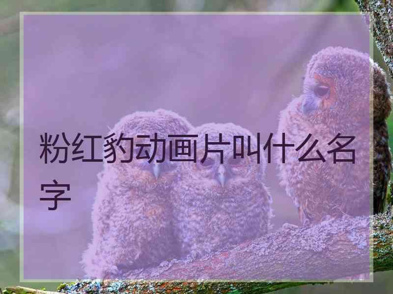 粉红豹动画片叫什么名字