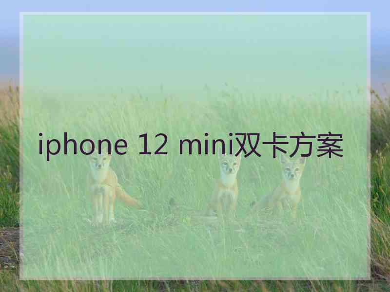 iphone 12 mini双卡方案