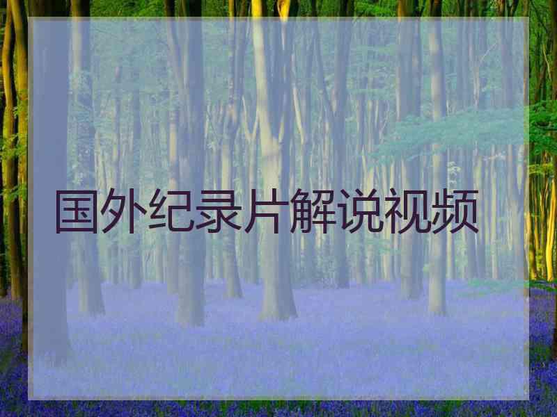 国外纪录片解说视频