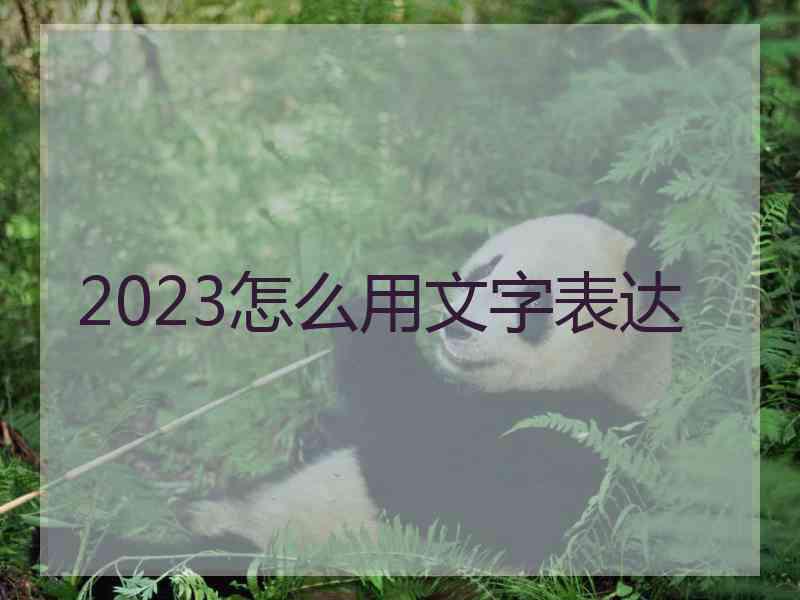 2023怎么用文字表达