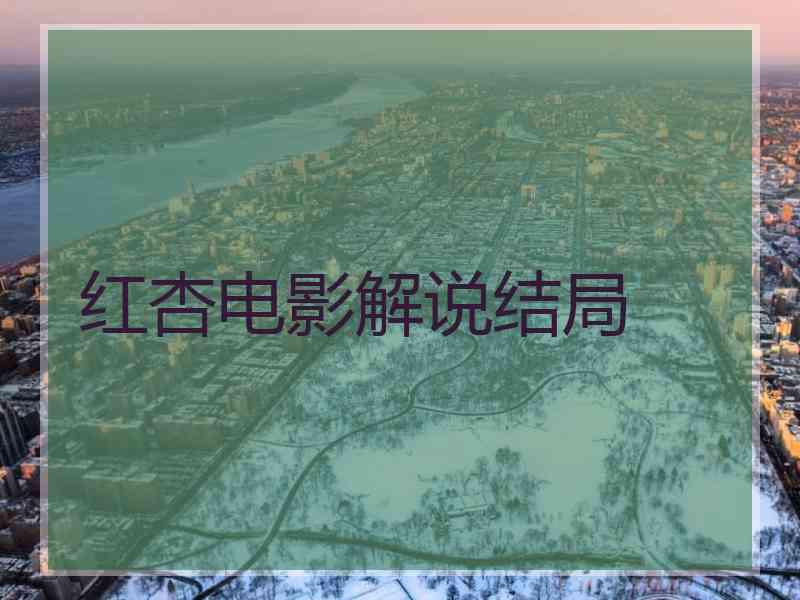 红杏电影解说结局