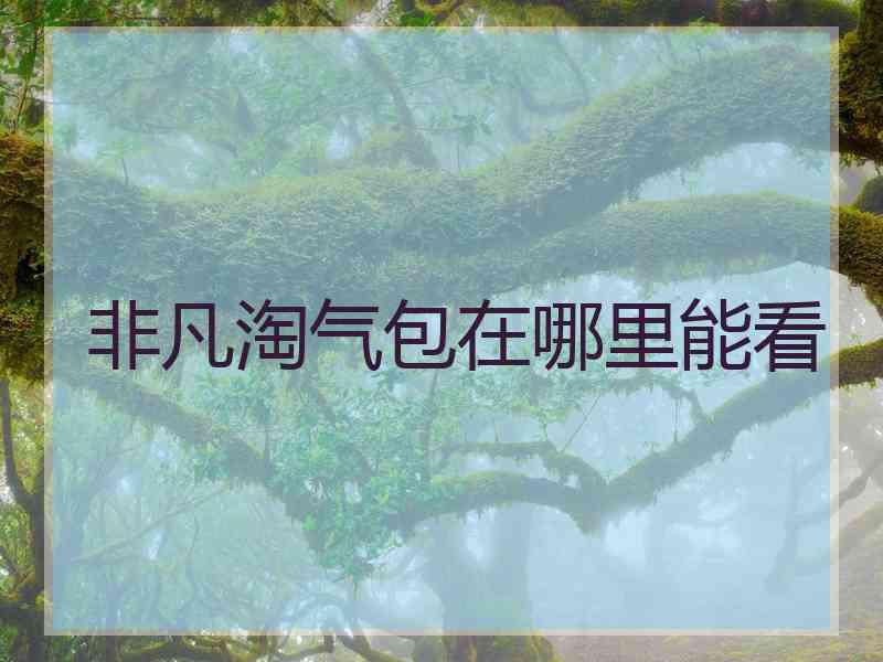非凡淘气包在哪里能看