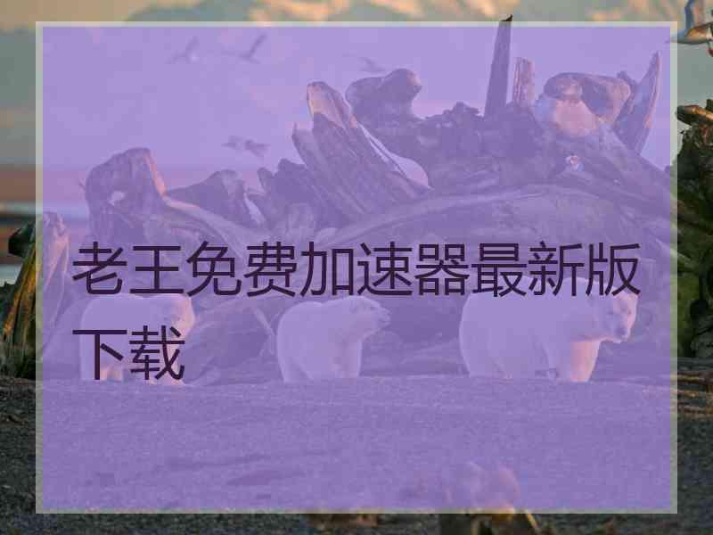 老王免费加速器最新版下载