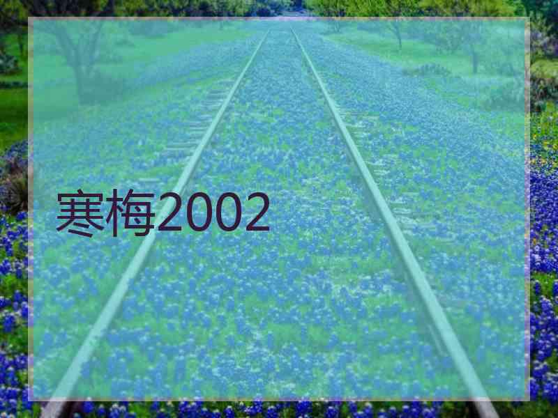 寒梅2002