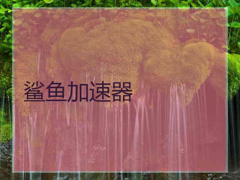 鲨鱼加速器