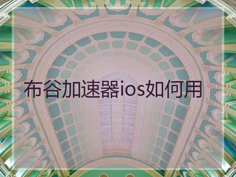 布谷加速器ios如何用