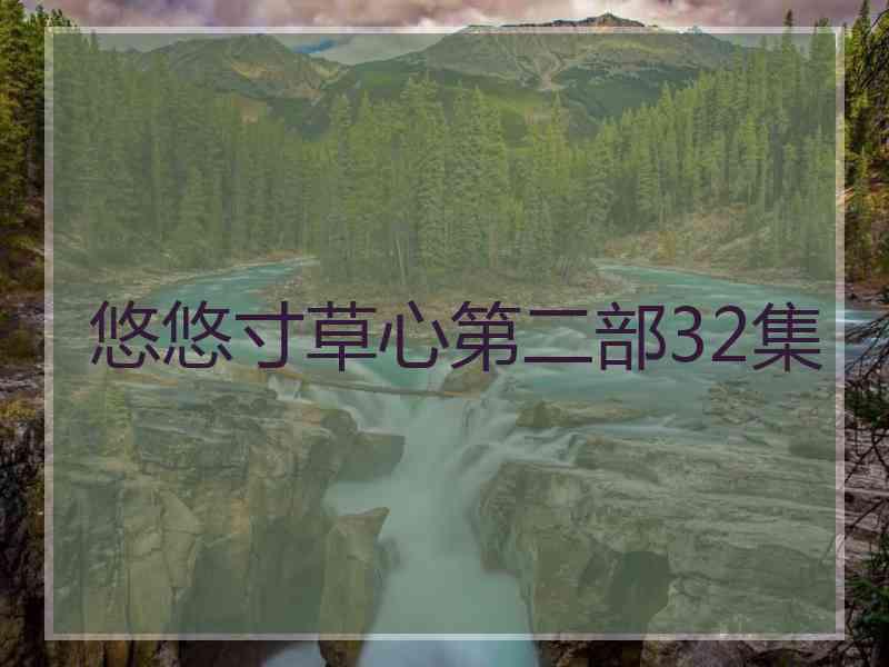 悠悠寸草心第二部32集
