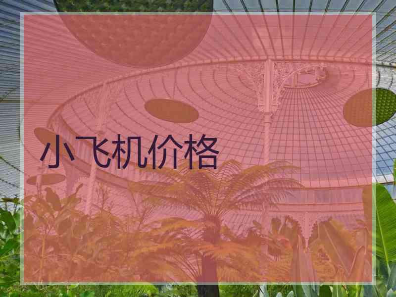 小飞机价格
