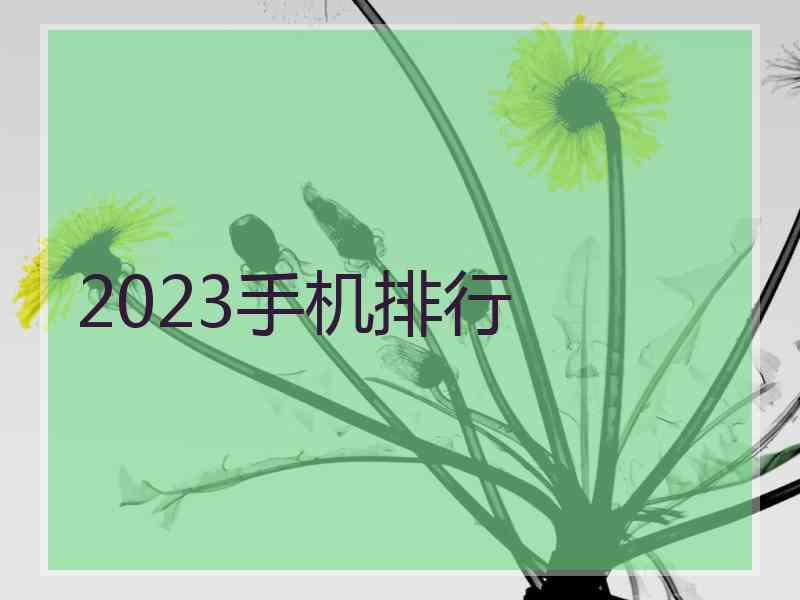 2023手机排行