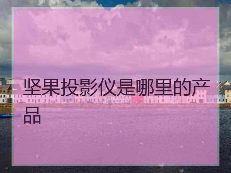 坚果投影仪是哪里的产品