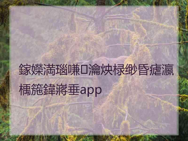 鎵嬫満瑙嗛瀹炴椂缈昏瘧瀛楀箷鍏嶈垂app