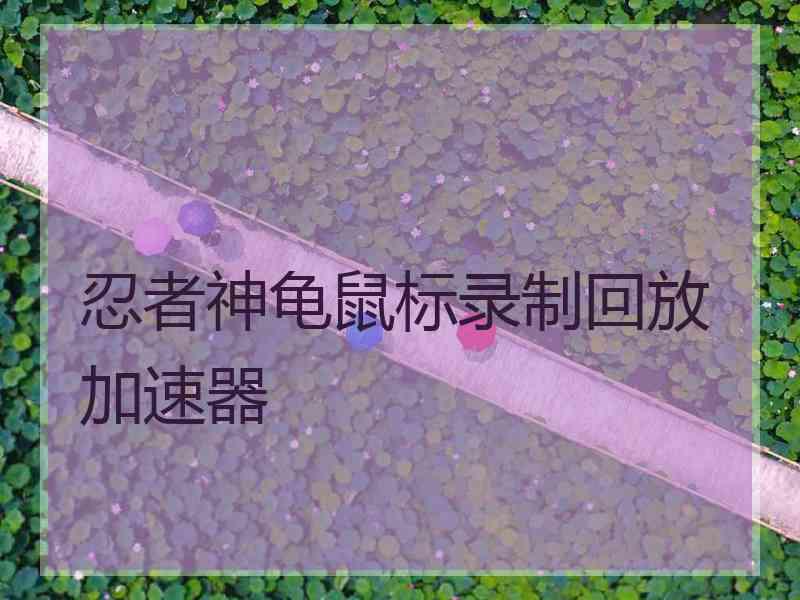 忍者神龟鼠标录制回放加速器