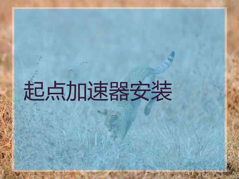 起点加速器安装