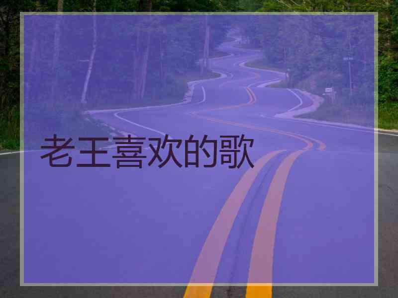 老王喜欢的歌