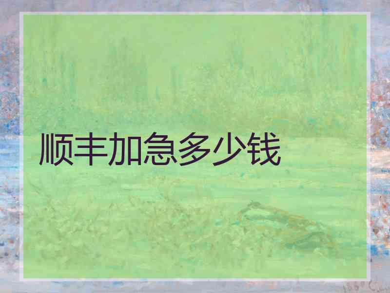 顺丰加急多少钱
