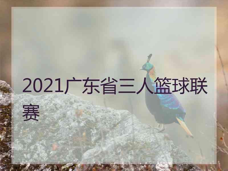 2021广东省三人篮球联赛