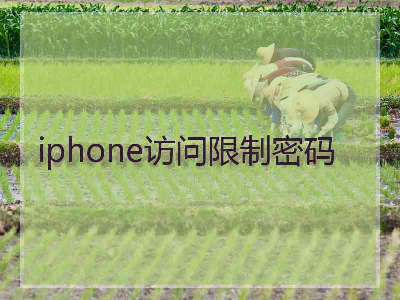 iphone访问限制密码