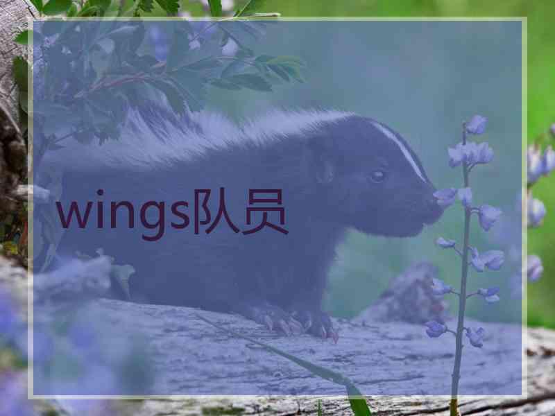 wings队员