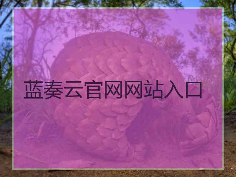 蓝奏云官网网站入口