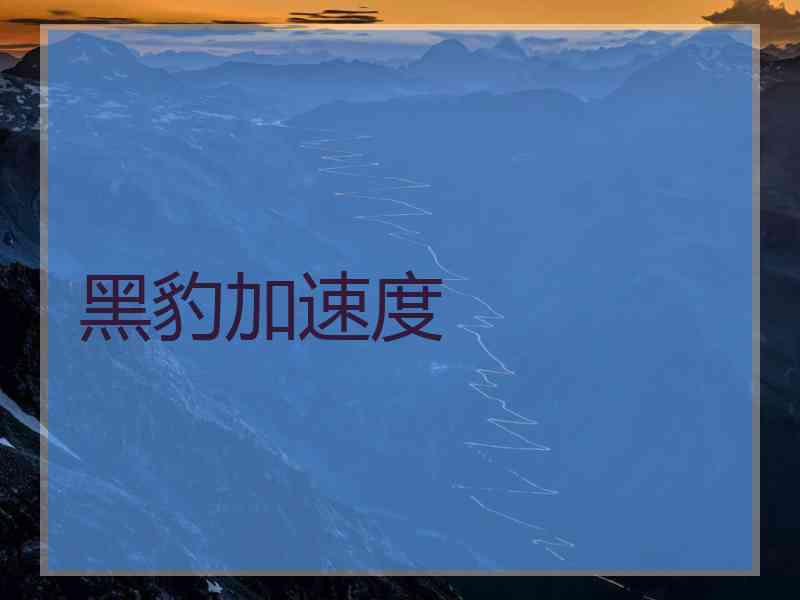黑豹加速度