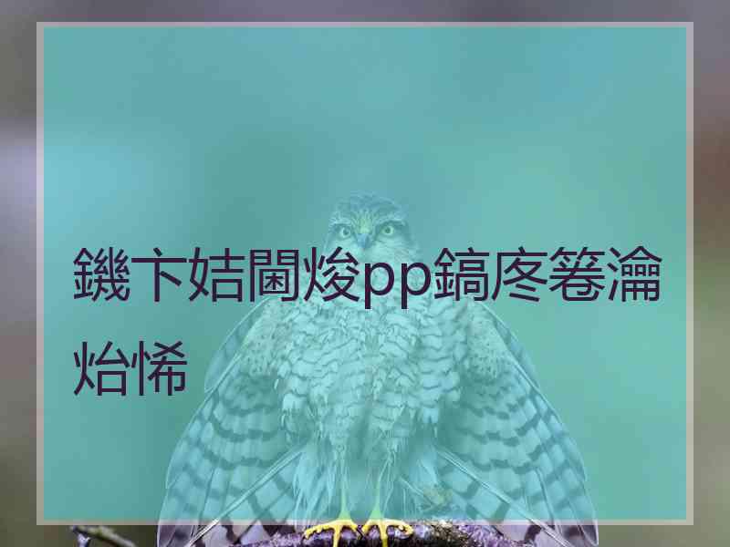 鐖卞姞閫焌pp鎬庝箞瀹炲悕