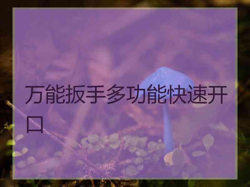 万能扳手多功能快速开口