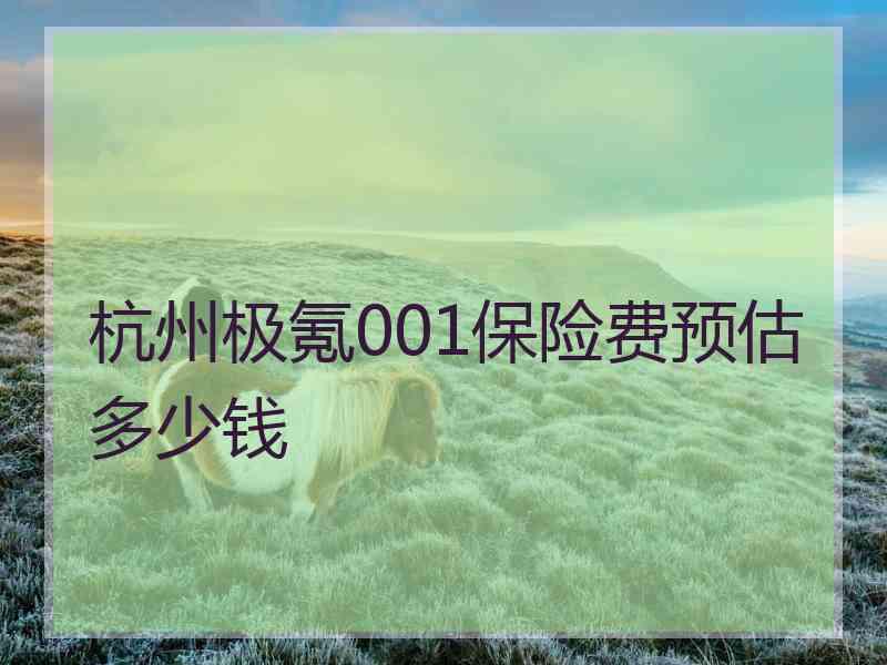 杭州极氪001保险费预估多少钱