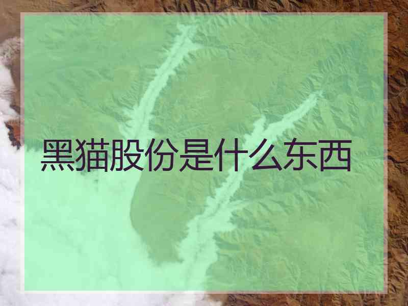 黑猫股份是什么东西