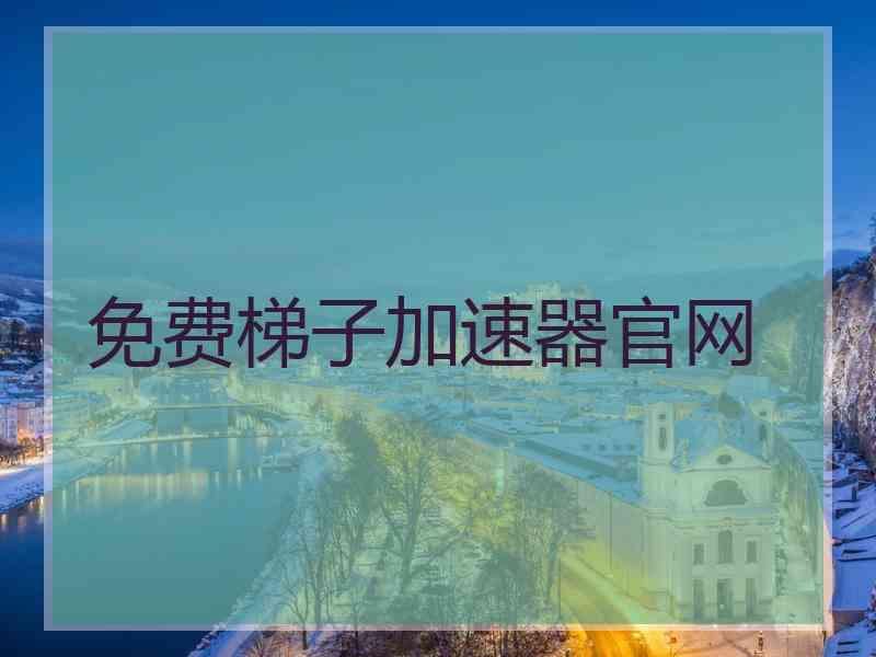 免费梯子加速器官网