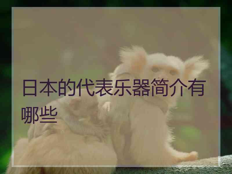 日本的代表乐器简介有哪些