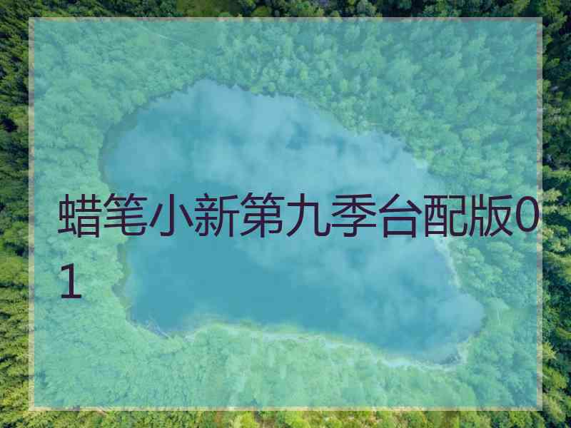 蜡笔小新第九季台配版01