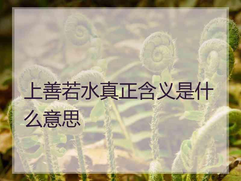 上善若水真正含义是什么意思