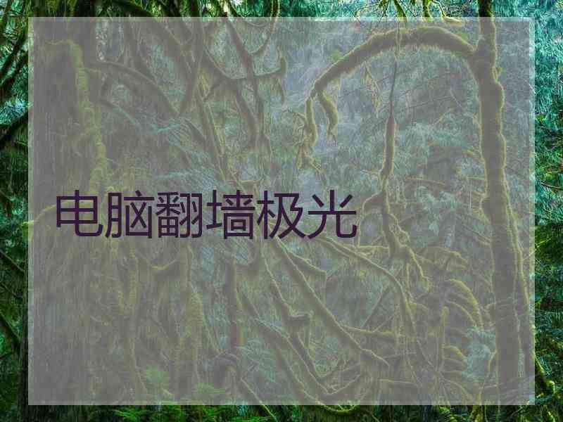 电脑翻墙极光