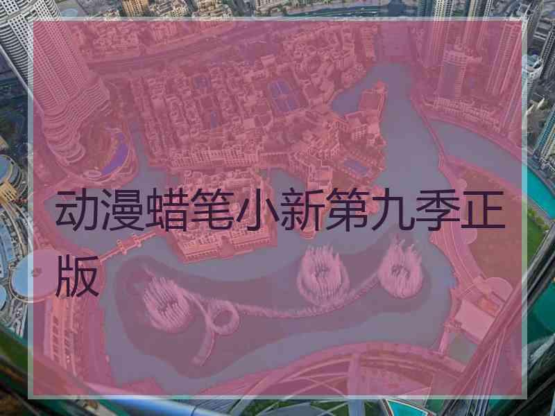 动漫蜡笔小新第九季正版