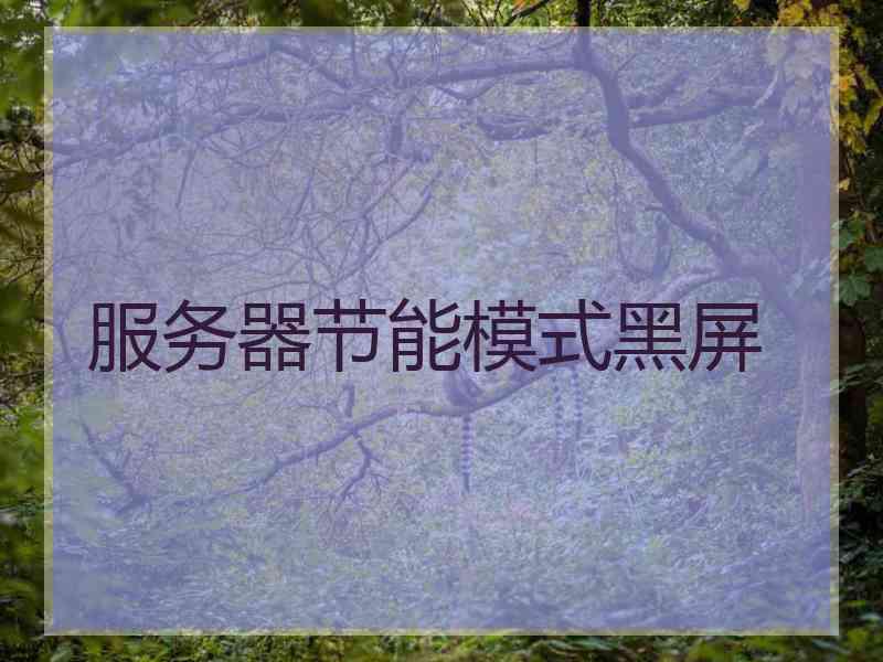 服务器节能模式黑屏