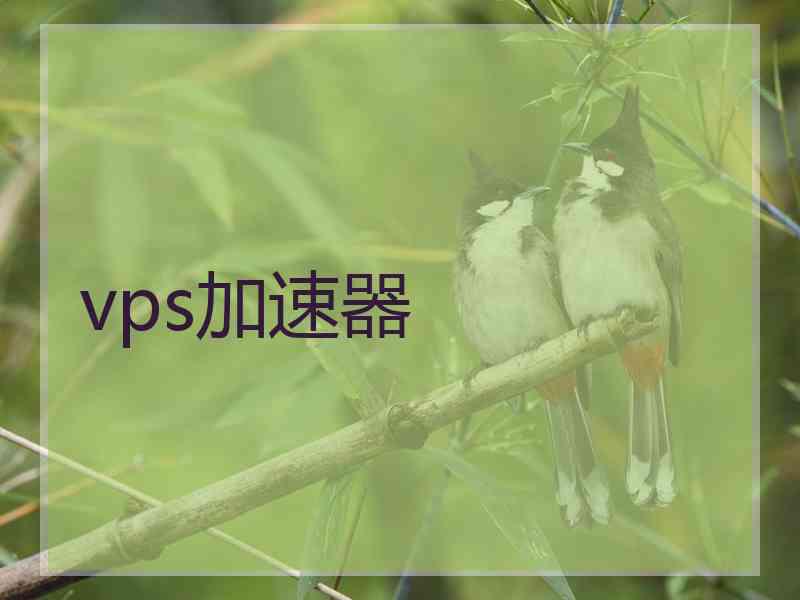 vps加速器